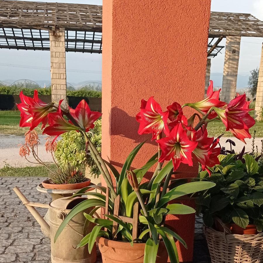 Il Casale Di Giulia Di Aprilia Exterior foto